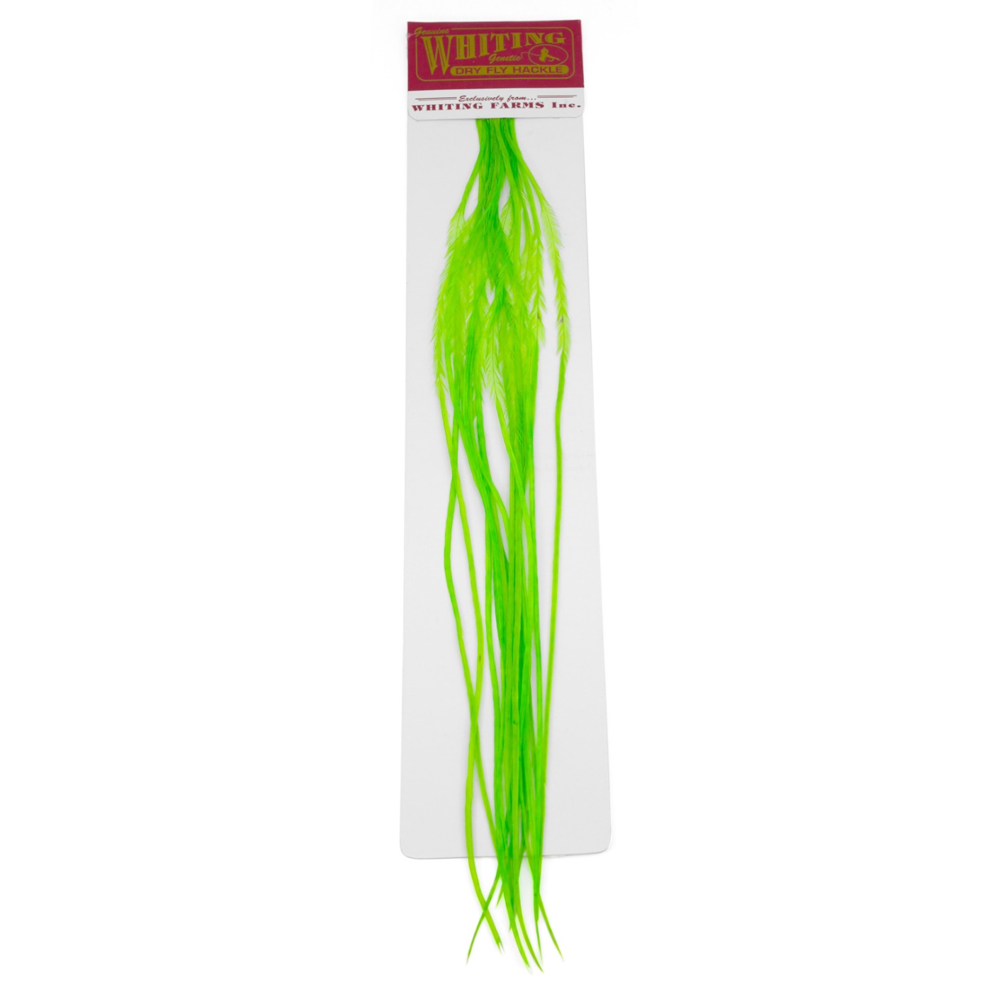 Whiting 100's Saddle Hackle Pack Size 16 Hi Vis Fl. Green Chartreuse